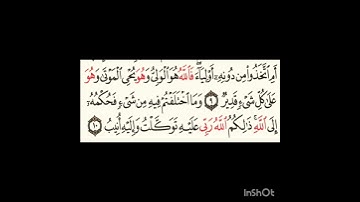 سورة الشورى ٩الى١٠ #سورةالفاتحة #اكسبلور #المصحف #سورةالكوثر #لايك #الرحمن #سورةالاخلاص #حالات_واتس