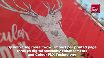 The Printed image   Xerox® Iridesse® - Production Press