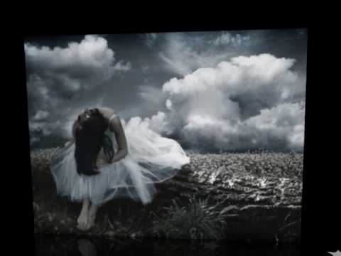 هاني العمري بفكر فيك