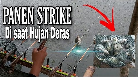 Panen strike di saat Hujan deras # Mancing Jatiluhur