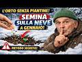 L'ORTO SENZA PIANTINE! 🤫 Cosa puoi seminare a gennaio direttamente sulla neve!