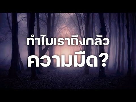 สารคดี 10 นาที - ทำไมเราถึงกลัวความมืด?