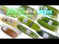 大きゅうり・地這いきゅうり種類と販売店16 The big cucumber kind and store16
