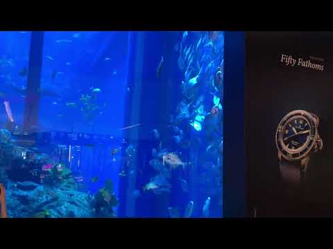 Dubai Mall Aquarium 2 @ FirstClassBoomers