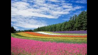 Natural Beauty Eternal Relaxation Platform