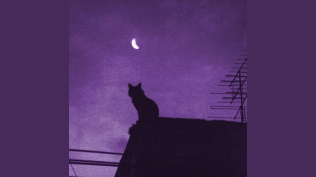 YouTube에서 Texture 보기 YouTube에서 Texture 보기