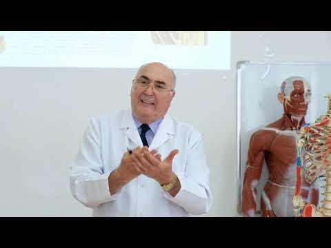 ლექცია   საყრდენ მამოძრავებელი აპარატი