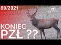 Sudecka ostoja 892021 koniec pz deer hunting wild jagen