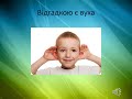 Я досліджую світ 3 клас. Яка роль органів чуття