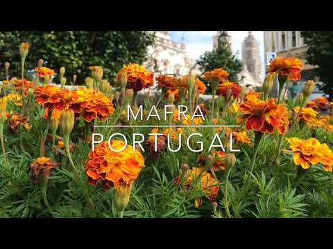 Conheça “Mafra Portugal ?? “ em dois minutos! Meet Mafra Portugal in 2:00 minutes!