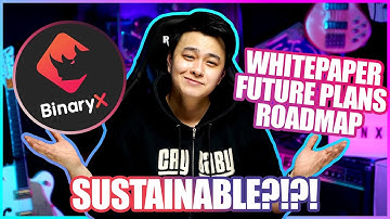 Is BinaryX sustainable? Whitepaper, Future Plans, and Roadmap