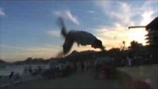 Flips Fight And Freeruning