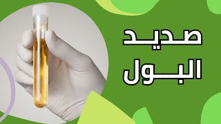 صديد البول الأسباب والأعراض وطرق العلاج مع د. أحمد حمادي