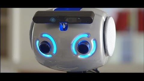 Robot-Era Project: the shopping scenario