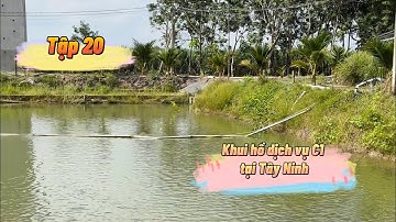 Lần đầu khui hồ dịch vụ tại Tây Ninh và Cái Kết - Câu Cá Tuỳ Duyên: Tập 20