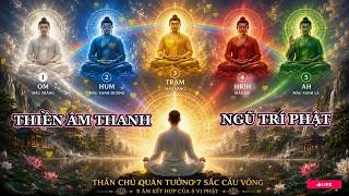 Ngũ Trí Phật Nhạc Thiền Rung Động 5 Vị Phật 5 Âm Thanh Quán Tưởng 7 Sắc Cầu Vồng Cacaosoul