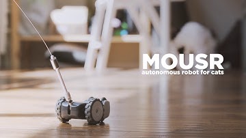 Petronics Mousr Robotic Cat Toy @ JB Hi-FI