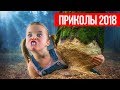 СИМФОНИЯ В КОРОВНИКЕ: СМЕШНЫЕ ВИДЕО 2018, НОВЫЕ ПРИКОЛЫ, ЛУЧШИЕ ПРИКОЛЫ