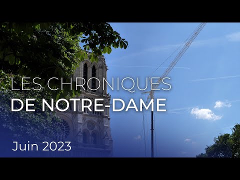Les chroniques de Notre-Dame - Juin 2023