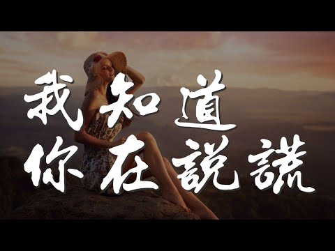 我知道你在說謊 - 潘美辰『我知道你在說謊 爲了你我不再任性』【動態歌詞Lyrics】