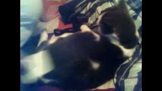 Capture 20121221