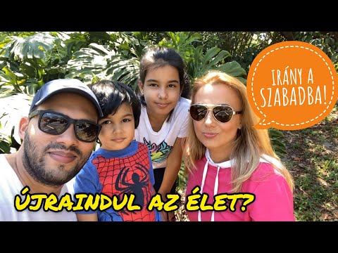 Aligátorokkal fürdeni?
