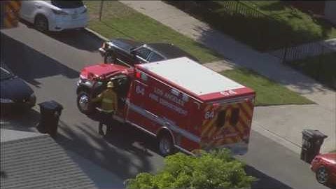 A tree trimmer is stuck in a palm tree in South Central Los Angeles
