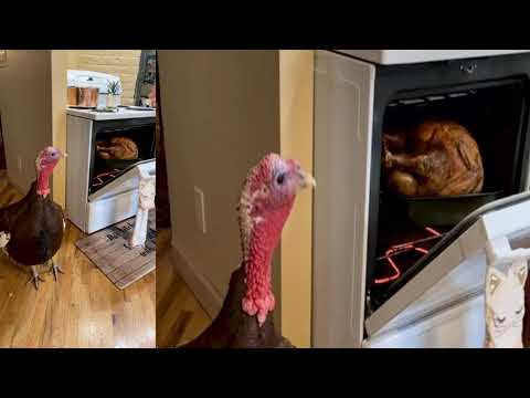 Papas Bakeria - Enter Thanksgiving - video Dailymotion