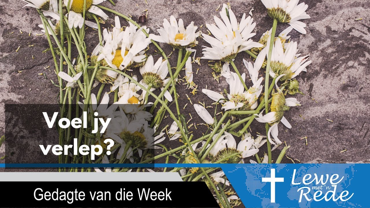 LMR- Gedagte van die week - YouTube