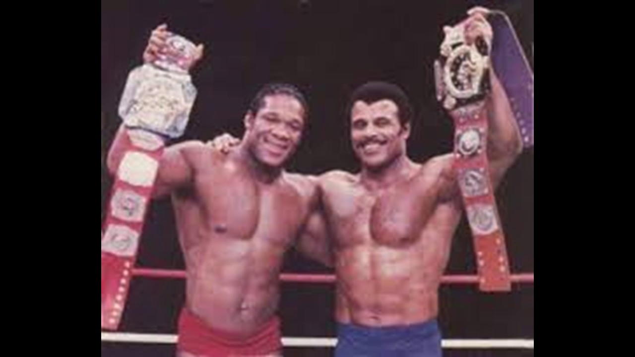 80's toys elementals 1983 WWF Year in Review......COMING SOON