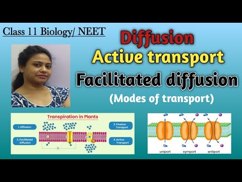 Ch-11 Transport in plants L-01| Diffusion | Facilitated diffusion ...