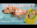 犬と泊まれるホテルで一泊旅行！inわんわんパラダイスホテル