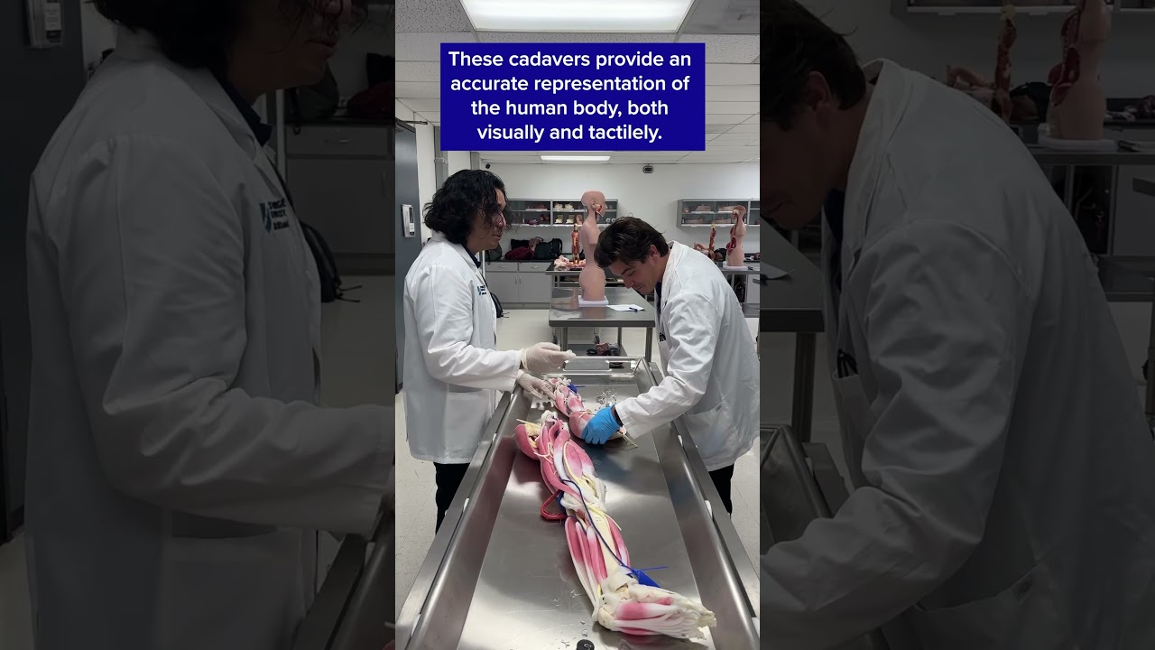 Nursing students immerse themselves in the Cadaver Lab, using synthetic cadavers! 💀