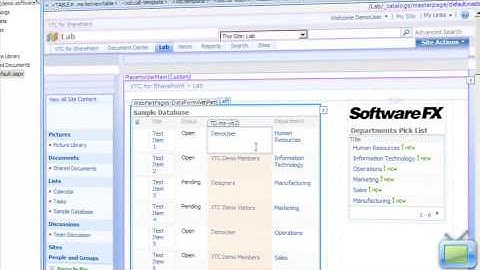 SharePoint 2007 Training Video:Create Reports with Filters & Drill-Down Capability