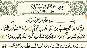 سورة الجاثية بصوت القارئ الشيخ وليد النائحي قالون عن نافع