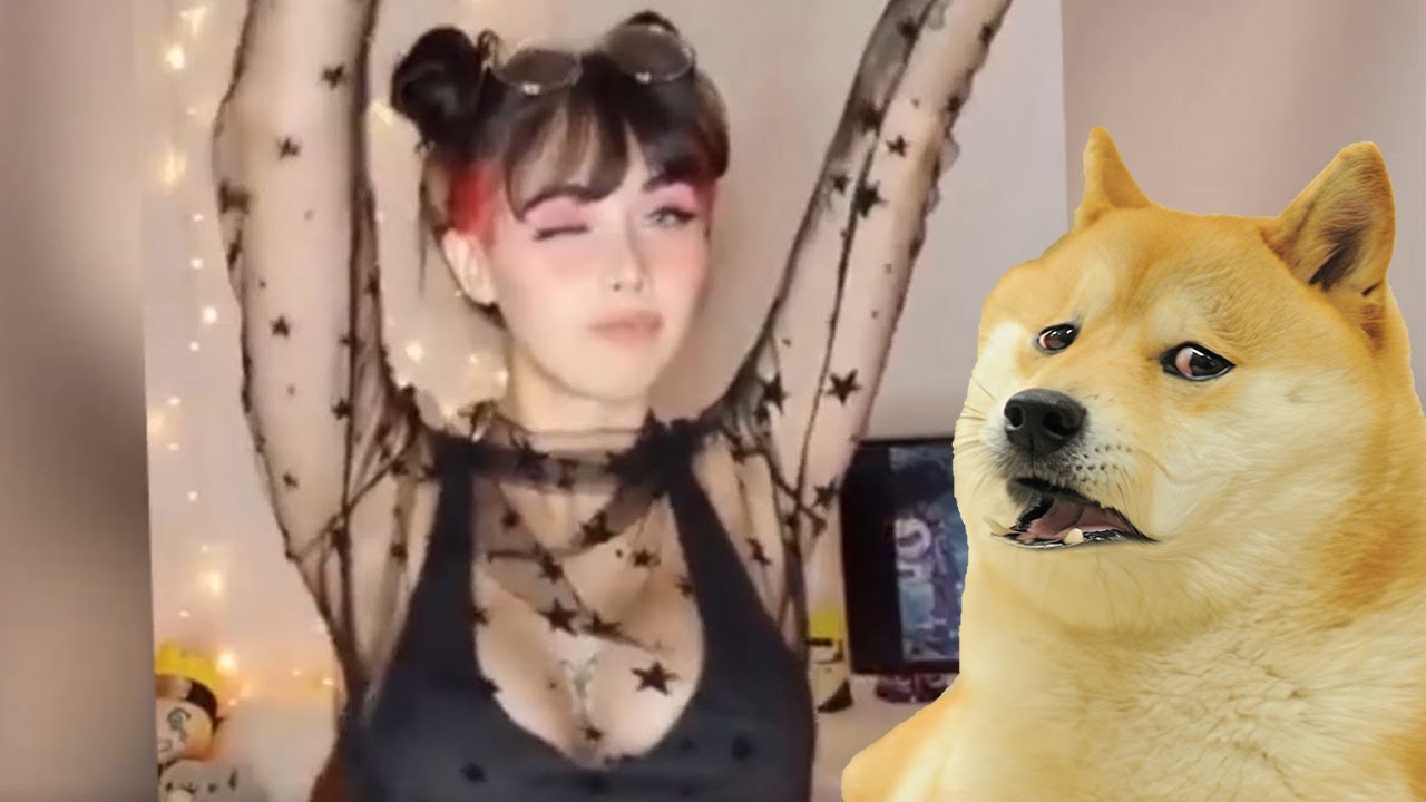 Doge Wants To Be Happy Not Horny Youtube
