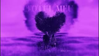 ADI x Holy Molly - Totul meu (Speed-up Version) | NIGHTCORE Remix