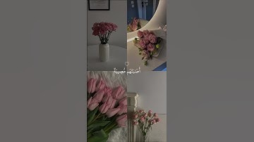 القران الكريم #فلسطين حرة #متابعين اسماء
