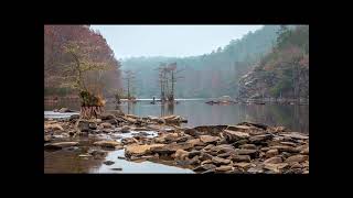 Mustafa Ismail Allail