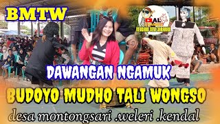 BMTW Montong sari.Dawangan ngamuk..pingin rondo