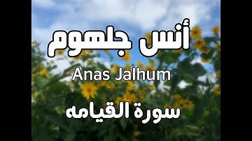 من اروع القراءت للشيخ انس جلهوم تلاوه مبكيه من سورة القيامه