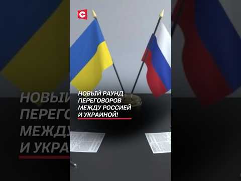 Новый раунд переговоров между Россией и Украиной! #путин #зеленский #украина #россия #война #сво