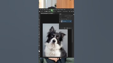 Adobe photoshop#photoshoptricks #tutorials #designer #tutorial #photoshop #photography #shorts