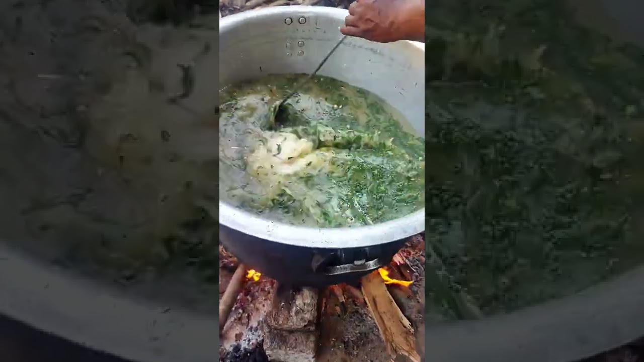 podina rice😘😘😘😘😋😋😋