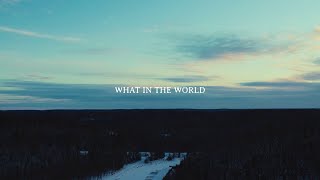 Video thumbnail of "The Bros. Landreth • What in the World (Official)"