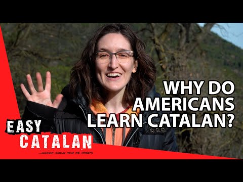 Vídeo: Què guanyen els aprenents?