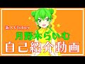 【自己紹介】らいむの日にVtuber始めるよ!【月野木らいむ】