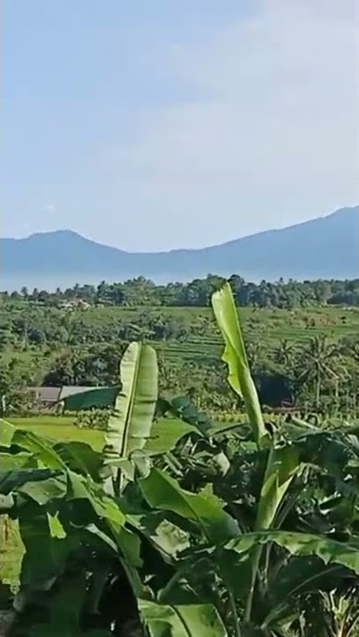 #amazing-keindahan gunung parakan salak di desa pawenang nagrak-sukabumi keren👍