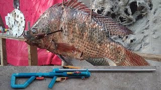 PVC guns VS big tilapia fish