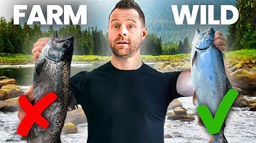 Doctor weighs in on the farmed salmon vs wild salmon debate